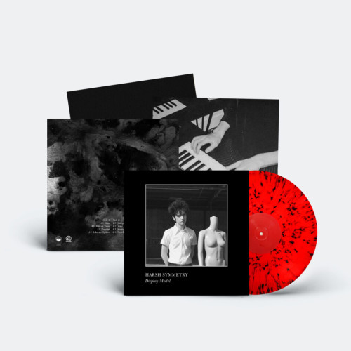 Harsh Symmetry - Display Model